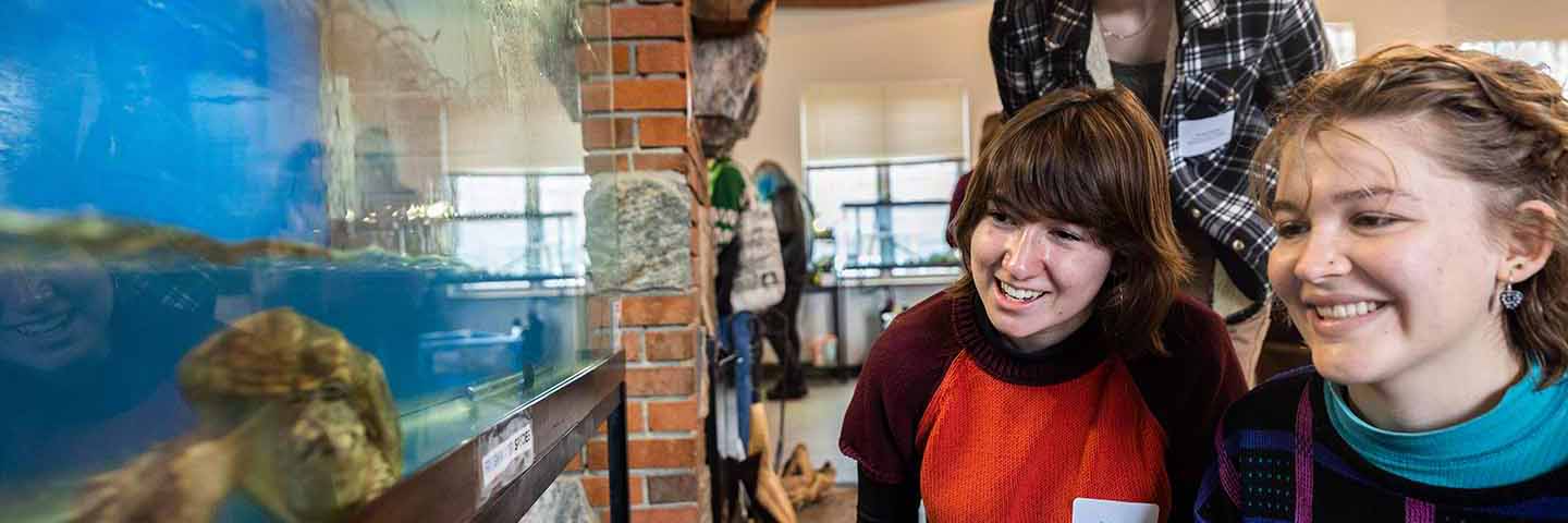 students smiling at turtle in tank