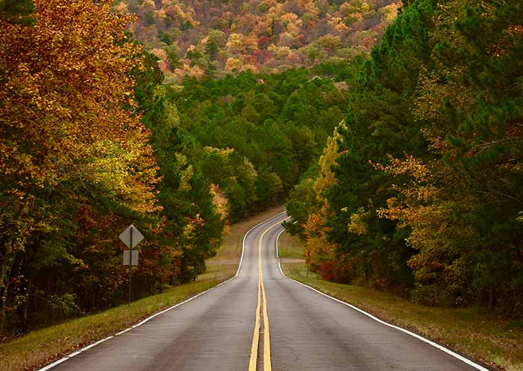 Road with yellow center line descending down hill with fall tree foliage