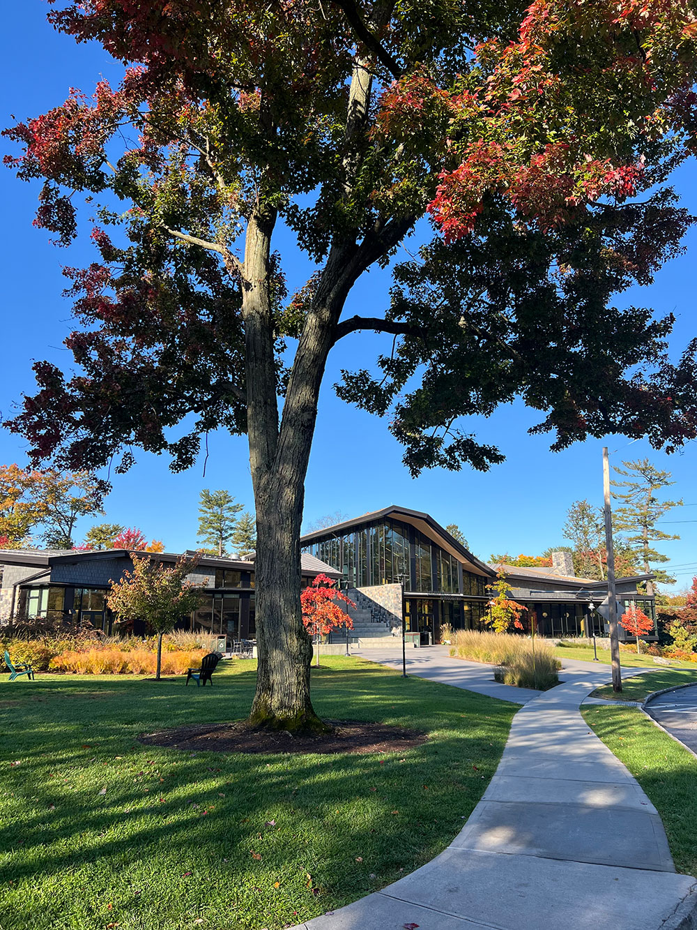 Fall colors on campus