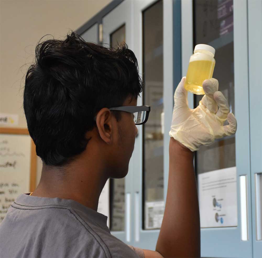 Students conducted research in the lab and out in the field