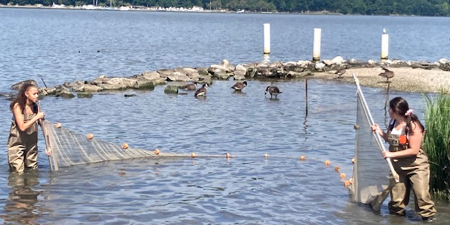 Seining in the Hudson River